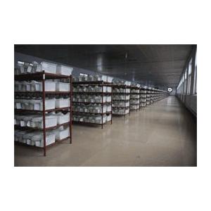 冷凍アダルトラットL (約180〜220g) 5匹入り【クール便発送】猛禽類