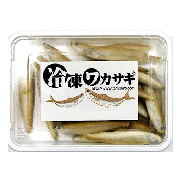 ワカサギ（バラ冷凍）100g×10個セット【クール便発送】冷凍餌 大型魚 肉食魚 アロアナ ピラニア｜c-vision