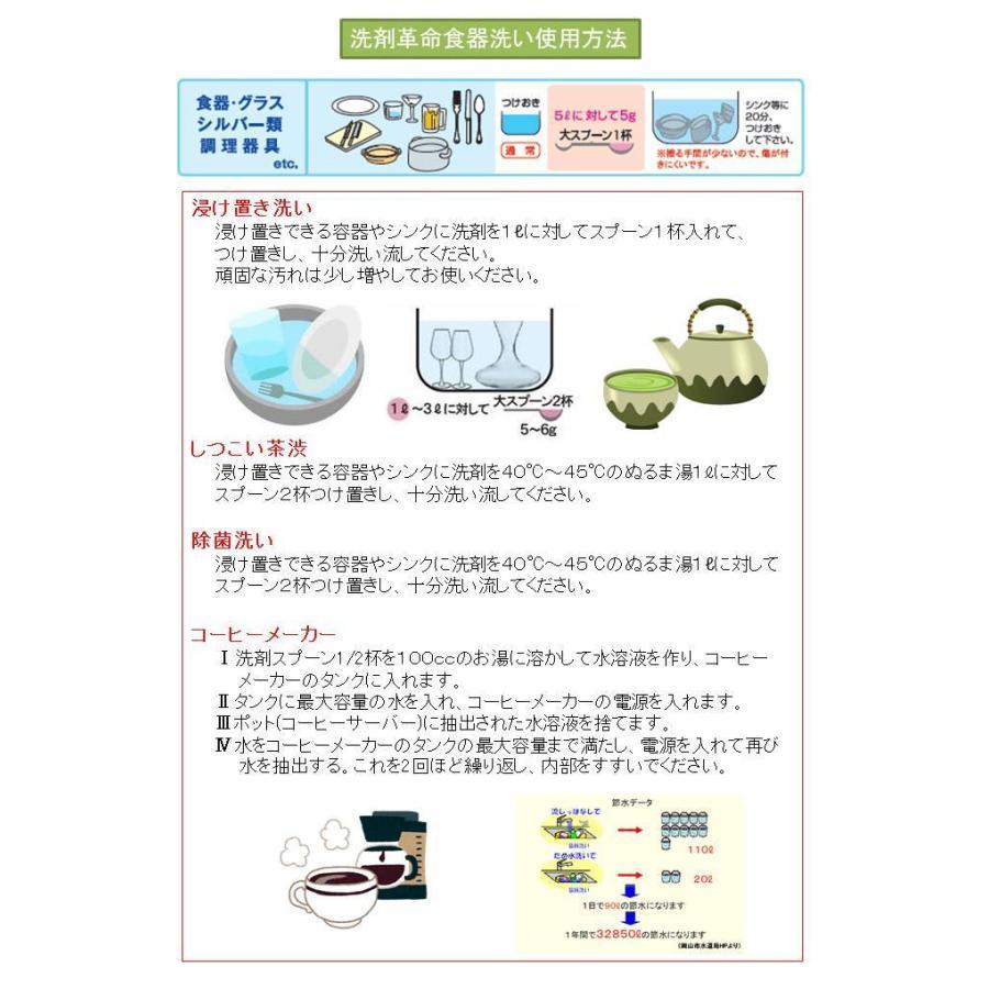 【ゴーゴーセール】【セットお得価格】スーパー洗剤革命2【300g＋1kg】セット 大掃除 万能洗剤 粉末 オールインワン クリーナー 業務用_1