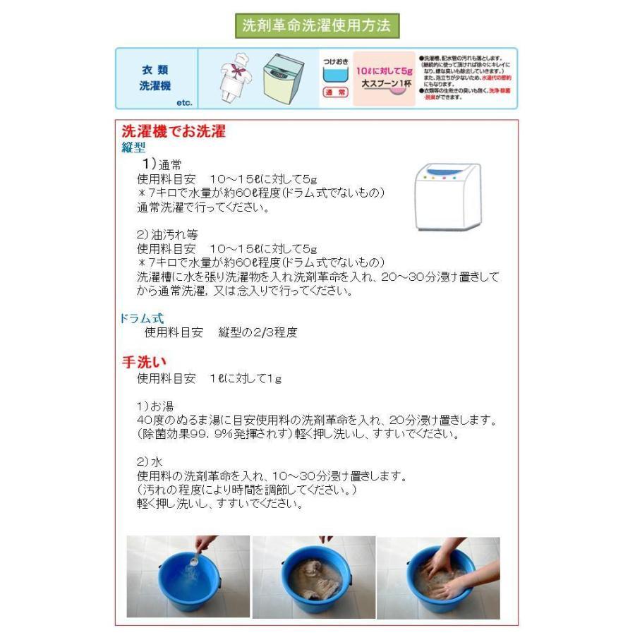 【ゴーゴーセール】【セットお得価格】スーパー洗剤革命2【300g＋1kg】セット 大掃除 万能洗剤 粉末 オールインワン クリーナー 業務用_2