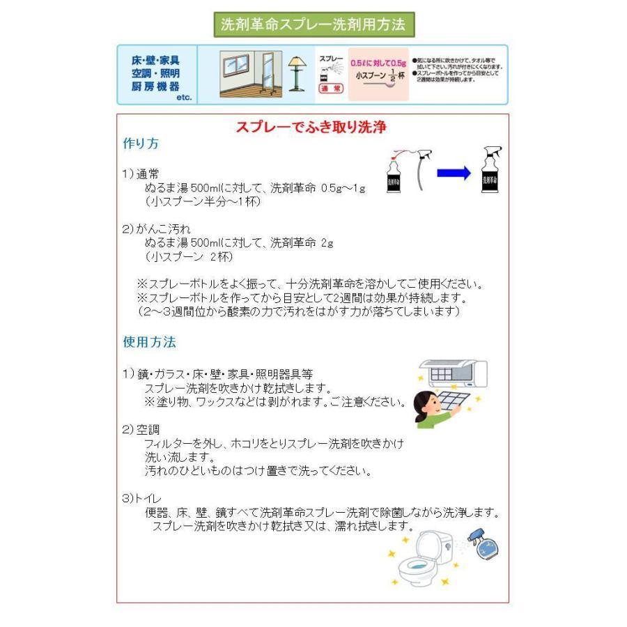 【ゴーゴーセール】【セットお得価格】スーパー洗剤革命2【300g＋1kg】セット 大掃除 万能洗剤 粉末 オールインワン クリーナー 業務用_3