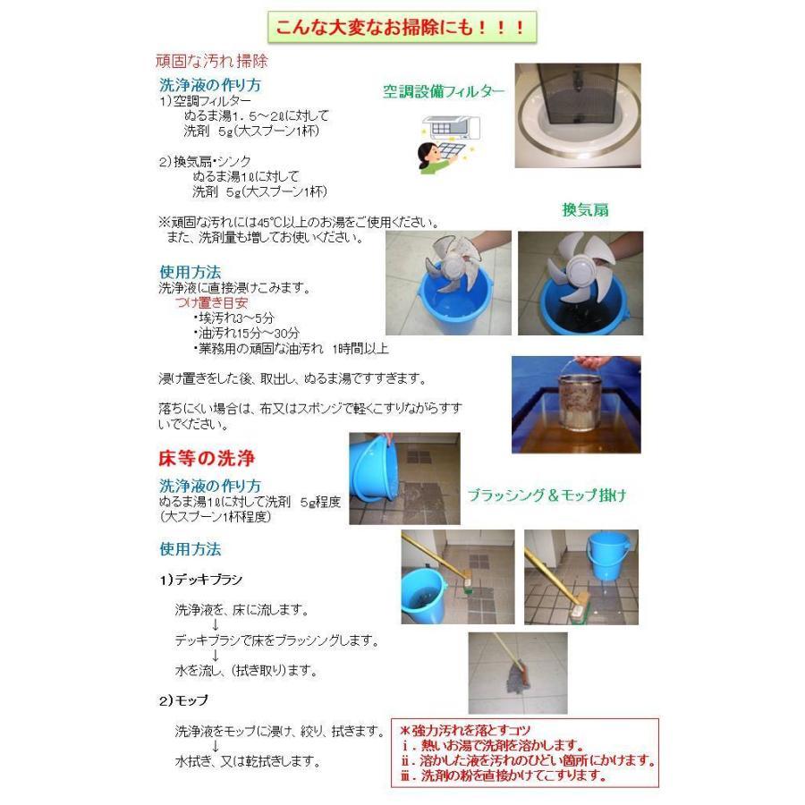 【ゴーゴーセール】【セットお得価格】スーパー洗剤革命2【300g＋1kg】セット 大掃除 万能洗剤 粉末 オールインワン クリーナー 業務用_6