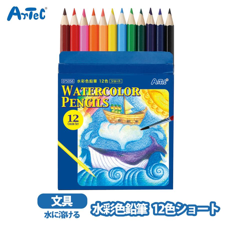 水彩色鉛筆 12色 ショート お絵描き 水彩色 男の子 女の子 知育玩具