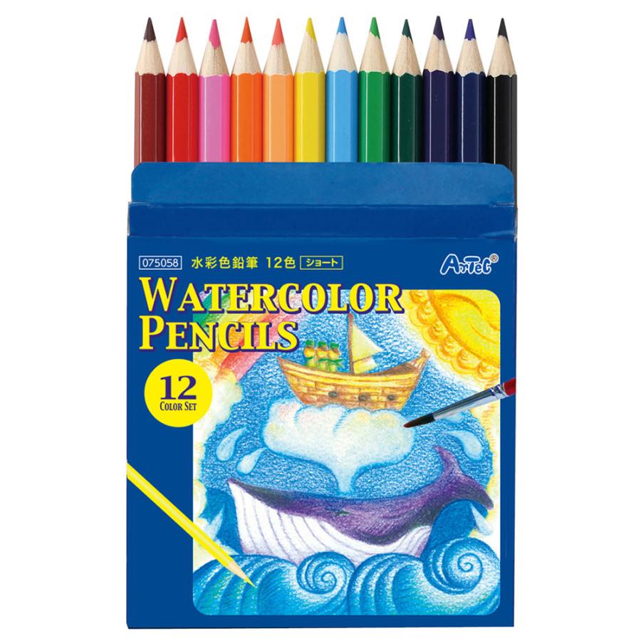 水彩色鉛筆 12色 ショート お絵描き 水彩色 男の子 女の子 知育玩具