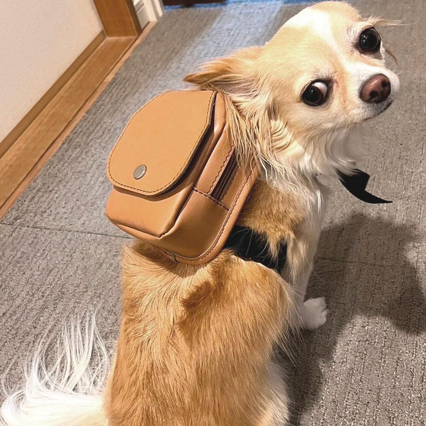 犬のランドセル お散歩グッズ ランドセル素材 人工皮革 ペットグッズ