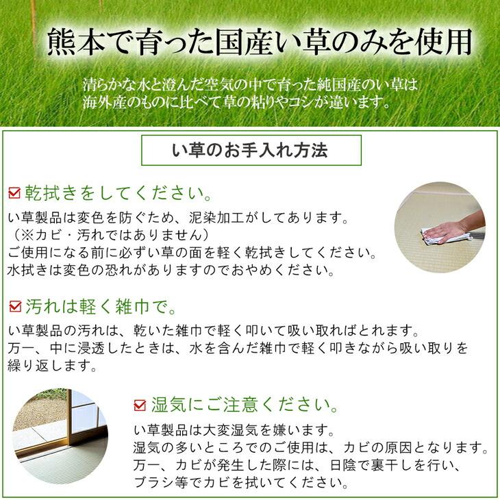 天然イ草 畳ユニット 畳収納 ハイタイプ 幅180センチ 奥行60センチ 高さ45センチ 小上がり 高床式 家具収納 い草 日本製で高品質 和室 畳ベンチ