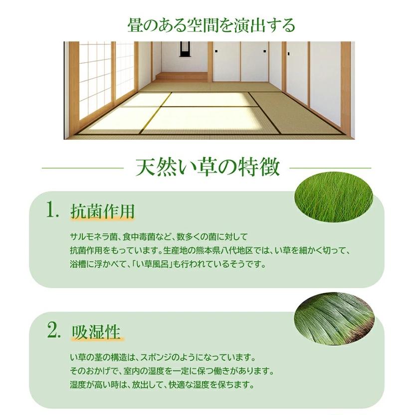 天然イ草 畳ユニット 畳収納 ハイタイプ 幅180センチ 奥行60センチ 高さ45センチ 小上がり 高床式 家具収納 い草 日本製で高品質 和室 畳ベンチ｜ca-nation｜03