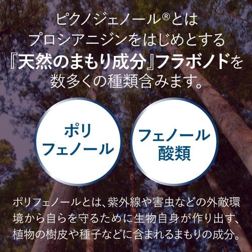 ピクノジェノール エクセレントプラス 30日分・120粒 | エクセレントメディカル | 06