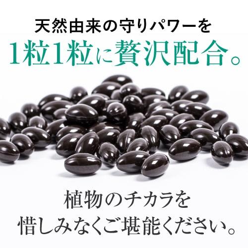 ピクノジェノール エクセレントプラス 3箱セット | エクセレントメディカル | 12