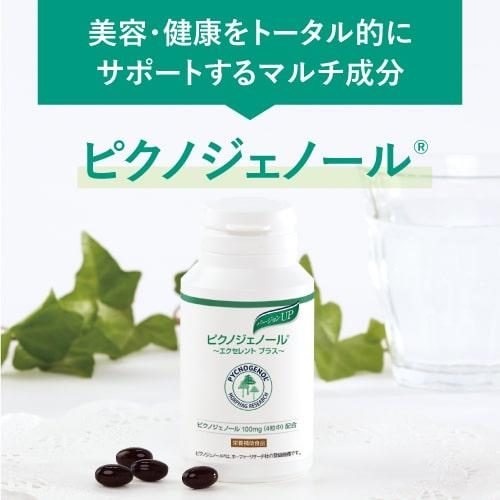 ピクノジェノール エクセレントプラス 3箱セット | エクセレントメディカル | 05