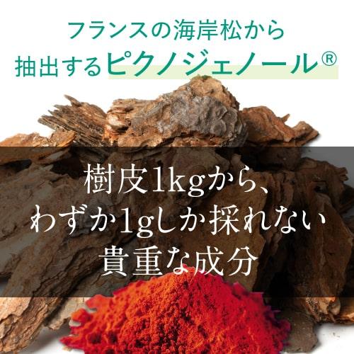 ピクノジェノール エクセレントプラス 3箱セット | エクセレントメディカル | 06