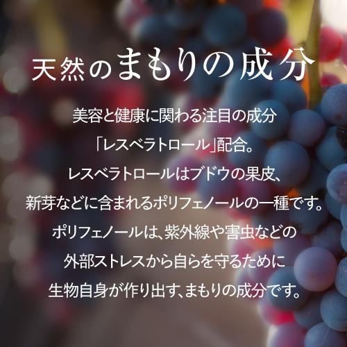 HGH エクセレント 20袋入 レスベラトロール配合アミノ酸サプリ | エクセレントメディカル | 13
