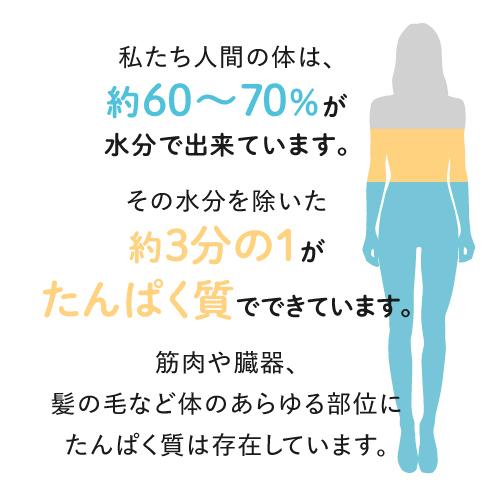 HGH エクセレント 20袋入 レスベラトロール配合アミノ酸サプリ | エクセレントメディカル | 03