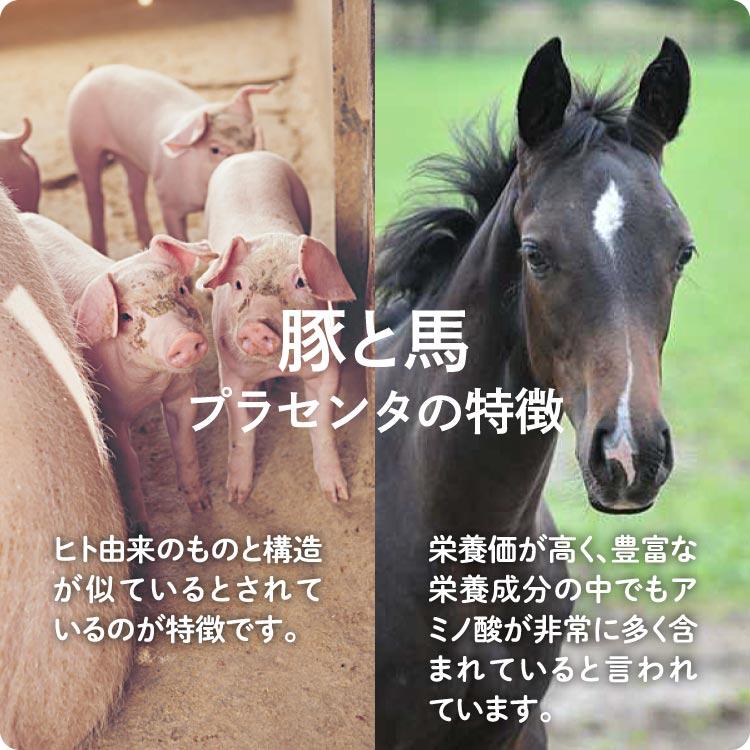 日本生物製剤 プラセンタ MDポーサイン100  ＆ HGHエクセレント 30包  セット 美エイジングケアセット 攻める美容サプリ | エクセレントメディカル | 06