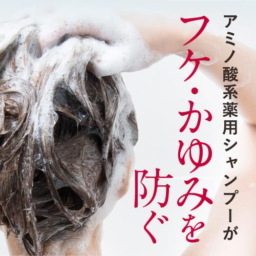 アミノ酸 シャンプー ノンシリコンシャンプー 医薬部外品 カミハダ 薬用スカルプシャンプー 詰替え用 700mL アミノ酸 フケ かゆみ 枝毛 KAMIHADA | エクセレントメディカル | 06