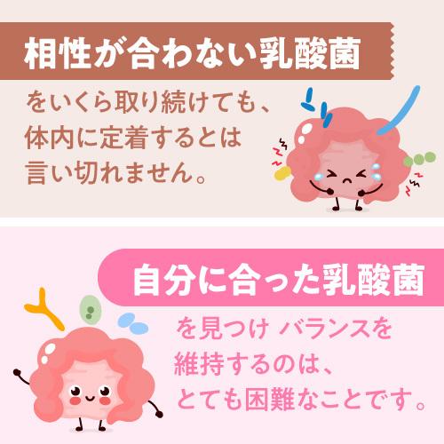 乳酸菌生成エキス L-16 お試し 10ml×5包 乳酸菌生産物質 乳酸菌生産物質サプリ | エクセレントメディカル | 04