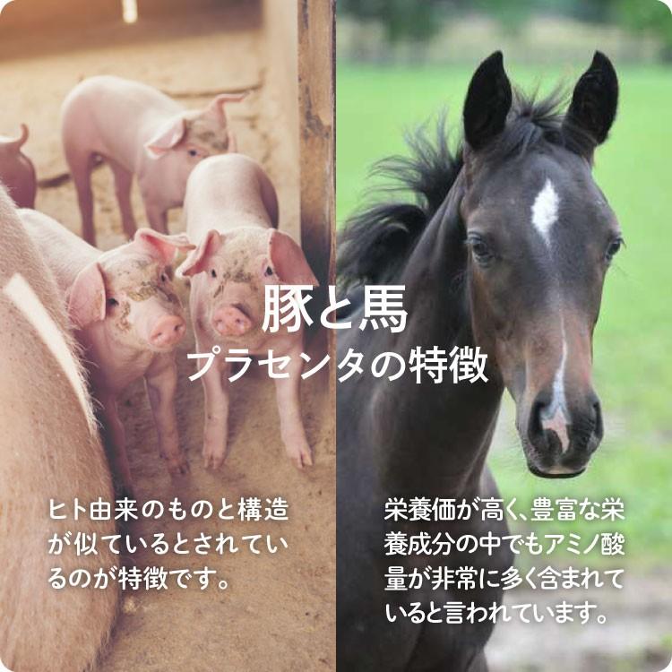 プラセンタ サプリ サプリメント Mdポーサイン100 お試し 5日分 馬プラセンタ 豚プラセンタ 00185 エクセレントメディカルyahoo 店 通販 Yahoo ショッピング