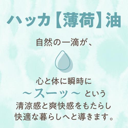 天然ハッカ油 日本製 20mL ハッカ スプレータイプ 2個 Mentha Oil 100 ハッカ油スプレー ミントオイル メンタオイル | メンタオイル100 | 03