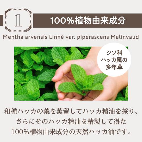 天然ハッカ油 日本製 20mL ハッカスプレー 3個 Mentha Oil 100 ハッカ油スプレー ミントオイル メンタオイル｜cabe-bata｜06