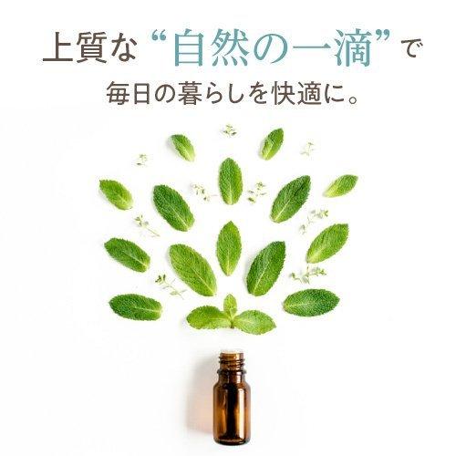 天然ハッカ油 日本製 200mL 2個セット Mentha Oil 100 ハッカ油スプレー ミントオイル メンタオイル | メンタオイル100 | 10