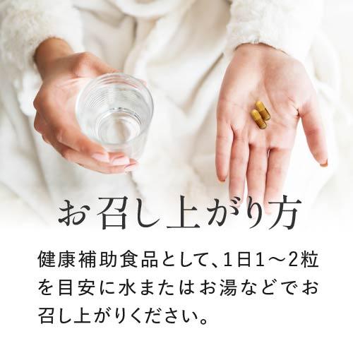 NMN サプリ 11250mg 配合 医師監修 125mg×90日分 国産 純度99.9％以上 90粒 2袋 NMNエクセレントプラス ニコチンアミドモノヌクレオチド | エクセレントメディカル | 08