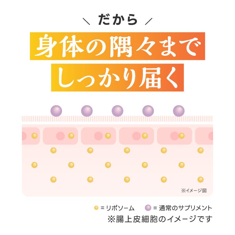 リポソーム ビタミンC 100％ 2800mg 医師監修 国内製造 イギリス産ビタミンC使用 栄養機能食品 サプリ Lipoful VC リポフルVC お試し5本 | エクセレントメディカル | 10