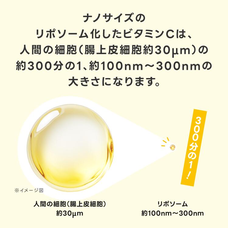 リポソーム ビタミンC 100％ 2800mg 医師監修 国内製造 イギリス産ビタミンC使用 栄養機能食品 サプリ Lipoful VC リポフルVC お試し5本 | エクセレントメディカル | 08