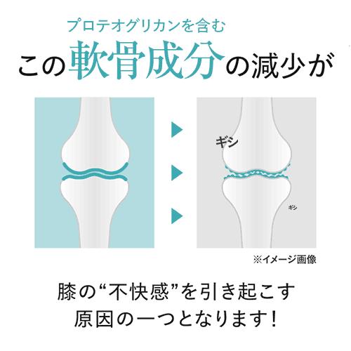 プロテオグリカン 膝 ひざ サプリメント 関節 軟骨 医師監修 機能性表示食品 潤ひざ うるひざ 90粒 約1ヶ月分 | エクセレントメディカル | 09