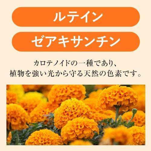 ルテイン 目のサプリ ぼやけ かすみを緩和する 眼の疲労感軽減 機能性表示食品 ゼアキサンチン めがらく 31粒 5袋 約5ヶ月分｜cabe-bata｜13