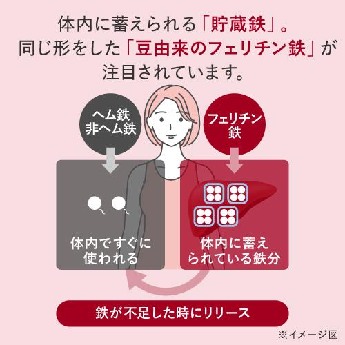 フェリチン鉄 サプリ 医師監修 約60〜120日分 鉄分 として10mg 2粒当たり 60粒入 2袋 栄養機能食品 貯蔵鉄 | エクセレントメディカル | 03