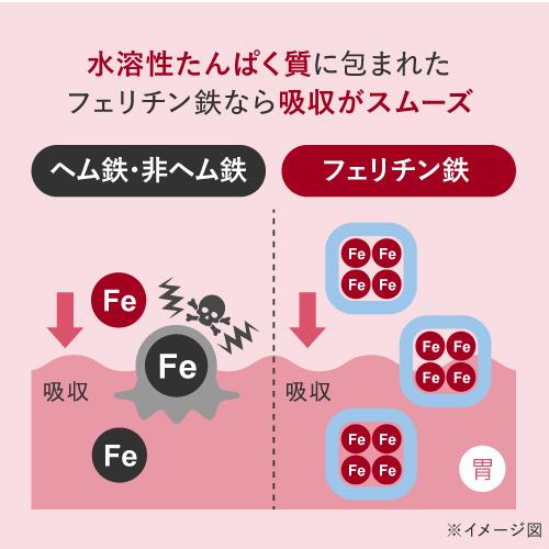 フェリチン鉄 サプリ 医師監修 約60〜120日分 鉄分 として10mg 2粒当たり 60粒入 2袋 栄養機能食品 貯蔵鉄 | エクセレントメディカル | 04