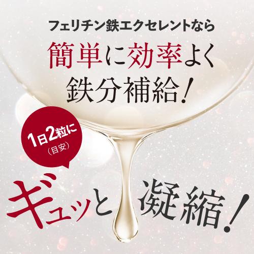 フェリチン鉄 サプリ 医師監修 約60〜120日分 鉄分 として10mg 2粒当たり 60粒入 2袋 栄養機能食品 貯蔵鉄 | エクセレントメディカル | 09