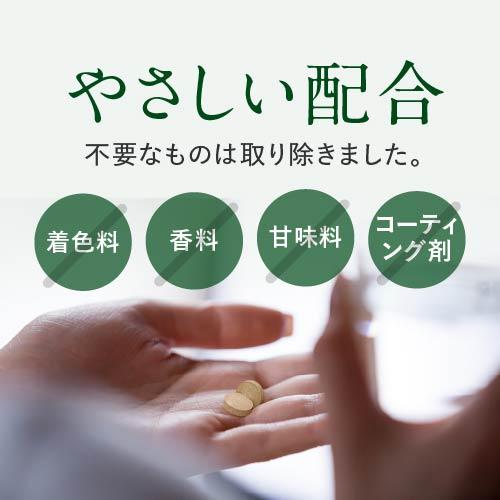 フェリチン鉄 サプリ 医師監修 約60〜120日分 鉄分 として10mg 2粒当たり 60粒入 2袋 栄養機能食品 貯蔵鉄 | エクセレントメディカル | 10