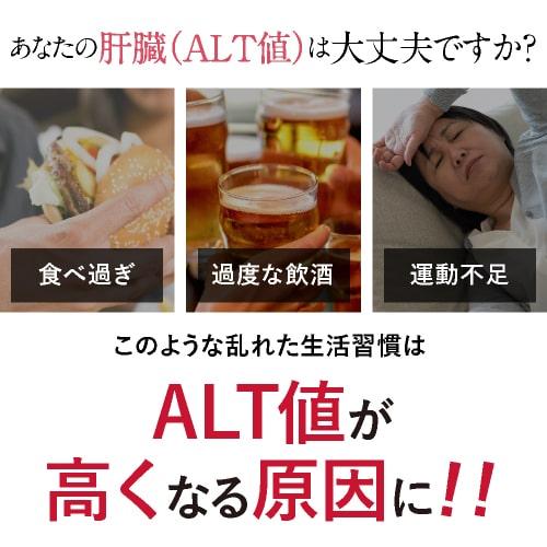 スルフォラファン サプリ やや高めの ALT値を下げる 肝臓 サポート 医師監修 機能性表示食品  肝嬉サポート 62粒 31日分｜cabe-bata｜03