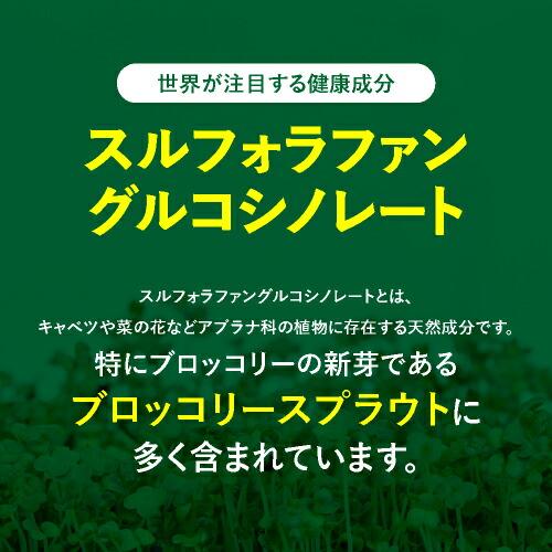 スルフォラファン サプリ やや高めの ALT値を下げる 肝臓 サポート 医師監修 機能性表示食品  肝嬉サポート 62粒 31日分 ブロッコロースプラウト | エクセレントメディカル | 06