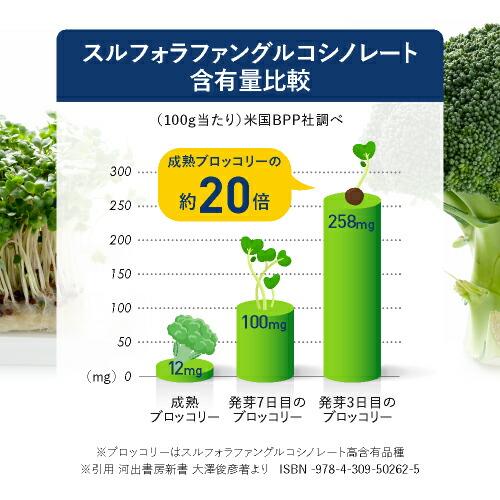 スルフォラファン サプリ やや高めの ALT値を下げる 肝臓 サポート 医師監修 機能性表示食品  肝嬉サポート 62粒 2袋セット 約2カ月分 | エクセレントメディカル | 07