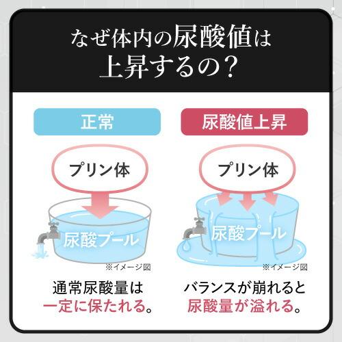尿酸値を下げる サプリ 医師監修 ルテオリン 機能性表示食品  尿酸ウェルネス 30粒 3袋セット 約3カ月分 | エクセレントメディカル | 10