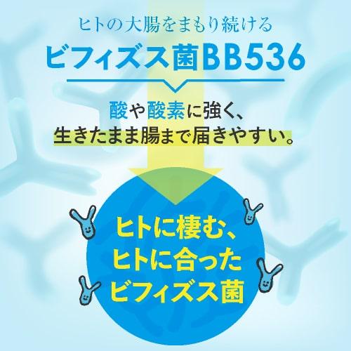 ビフィズス菌 BB536 100億個 腸まで届く 腸内環境 を改善 花粉 ホコリ ハウスダスト による鼻の不快感 軽減 ラクチュロース ビフィプラス100 31粒 約1ケ月分 | エクセレントメディカル | 11