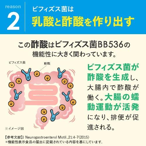 ビフィズス菌 BB536 100億個 腸まで届く 腸内環境 を改善 花粉 ホコリ ハウスダスト による鼻の不快感 軽減 ラクチュロース ビフィプラス100 31粒 約1ケ月分｜cabe-bata｜14