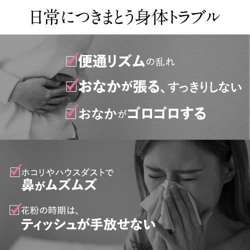 ビフィズス菌 BB536 100億個 腸まで届く 腸内環境 を改善 花粉 ホコリ ハウスダスト による鼻の不快感 軽減 ラクチュロース ビフィプラス100 31粒 約1ケ月分｜cabe-bata｜08