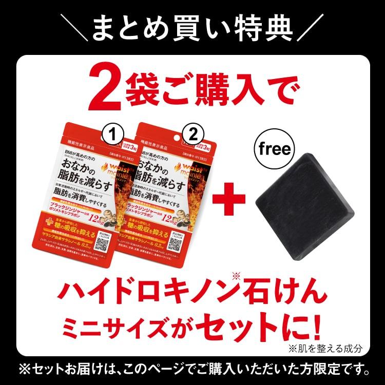 ブラックジンジャー サラシア サプリ BMIが高めの方の おなかの脂肪を減らす ウエストメンテ 機能性表示食品 90粒 約１ケ月分 燃焼系 | エクセレントメディカル | 01