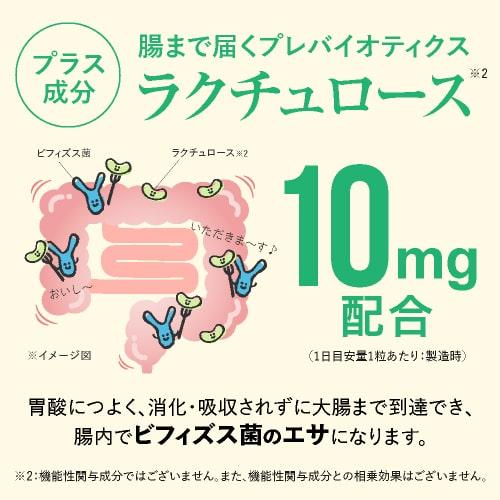 ビフィズス菌 BB536 100億個 腸まで届く 腸内環境 を改善 花粉 ホコリ ハウスダスト による鼻の不快感 軽減 ラクチュロース ビフィプラス100 31粒 3袋 約3ケ月分 | エクセレントメディカル | 16
