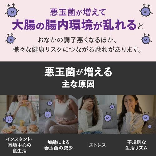 ビフィズス菌 BB536 100億個 腸まで届く 腸内環境 を改善 花粉 ホコリ ハウスダスト による鼻の不快感 軽減 ラクチュロース ビフィプラス100 31粒 5袋 約5ケ月分 | エクセレントメディカル | 07