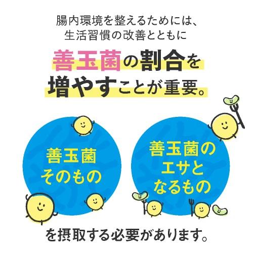ビフィズス菌 BB536 100億個 腸まで届く 腸内環境 を改善 花粉 ホコリ ハウスダスト による鼻の不快感 軽減 ラクチュロース ビフィプラス100 31粒 5袋 約5ケ月分 | エクセレントメディカル | 08