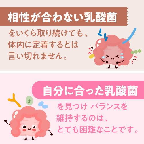 ビフィズス菌 サプリ BB536 100億 大腸の 腸内環境を改善 ビフィプラス100 ＋ 乳酸菌 生成エキス サプリメント L-16 お試し5包 医師監修 機能性表示食品 | エクセレントメディカル | 14