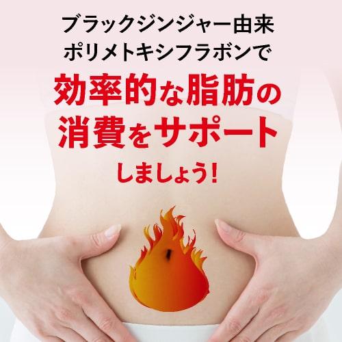 ブラックジンジャー サラシア サプリ BMIが高めの方の おなかの脂肪を減らす ウエストメンテ 機能性表示食品 90粒 3袋セット 約3ケ月分 燃焼系 | エクセレントメディカル | 14