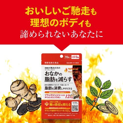 ブラックジンジャー サラシア サプリ BMIが高めの方の おなかの脂肪を減らす ウエストメンテ 機能性表示食品 90粒 3袋セット 約3ケ月分 燃焼系 | エクセレントメディカル | 10