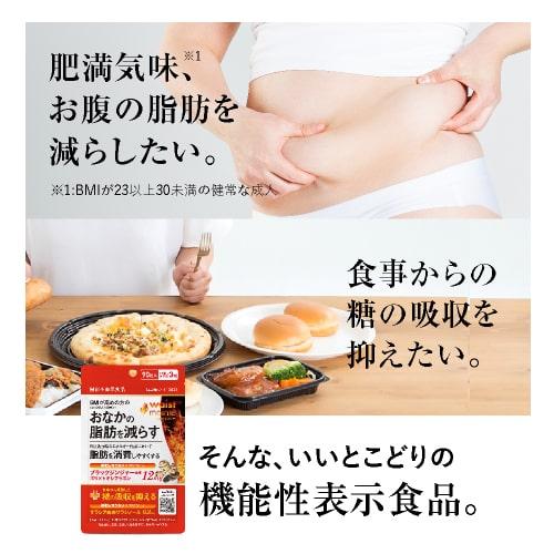 ブラックジンジャー サラシア サプリ BMIが高めの方の おなかの脂肪を減らす ウエストメンテ 機能性表示食品 90粒 5袋セット 約5ケ月分 燃焼系 | エクセレントメディカル | 10