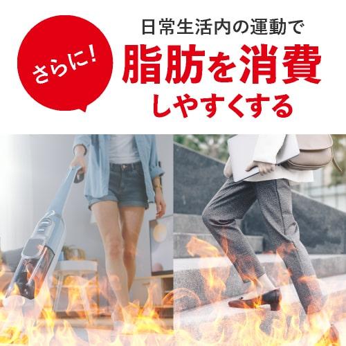 ブラックジンジャー サラシア サプリ BMIが高めの方の おなかの脂肪を減らす ウエストメンテ 機能性表示食品 90粒 5袋セット 約5ケ月分 燃焼系 | エクセレントメディカル | 12