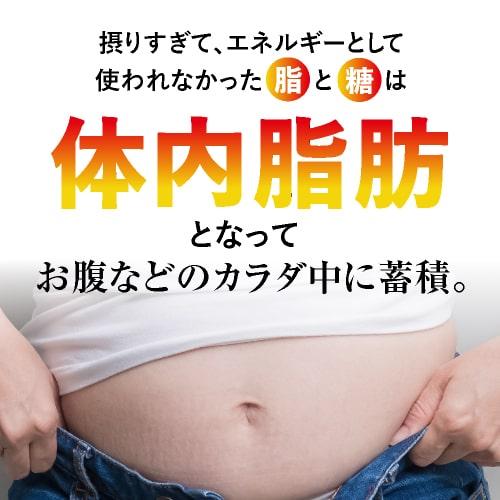 ブラックジンジャー サラシア サプリ BMIが高めの方の おなかの脂肪を減らす ウエストメンテ 機能性表示食品 90粒 5袋セット 約5ケ月分 燃焼系 | エクセレントメディカル | 08